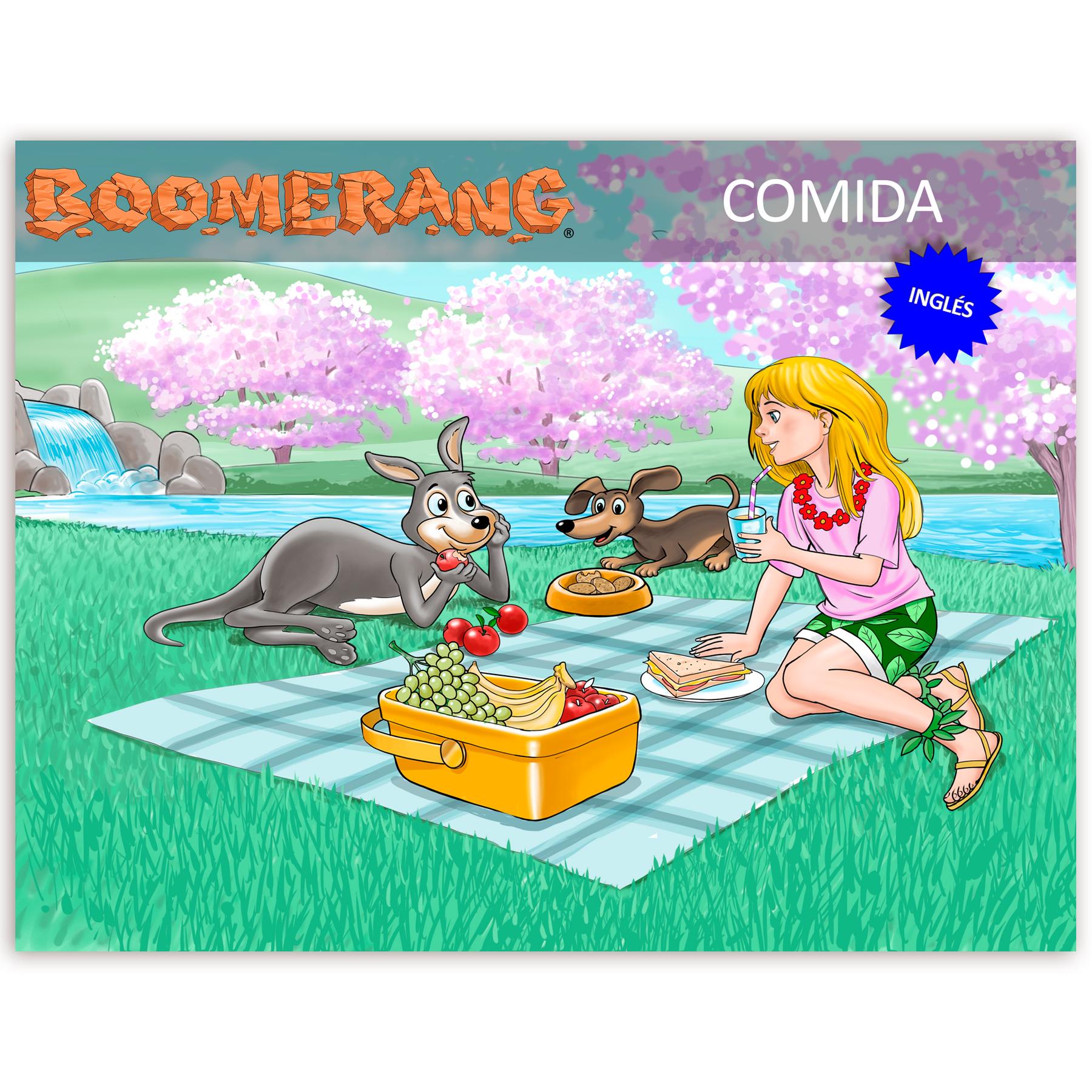 Boomerang Comida