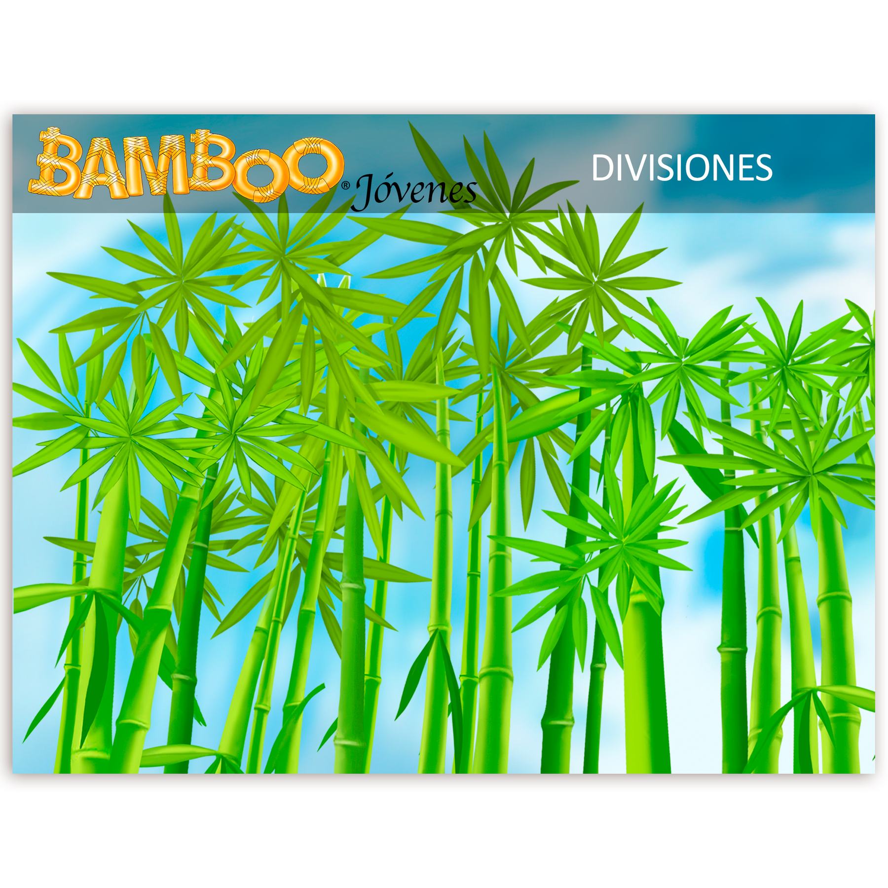 Bamboo Jóvenes Divisiones