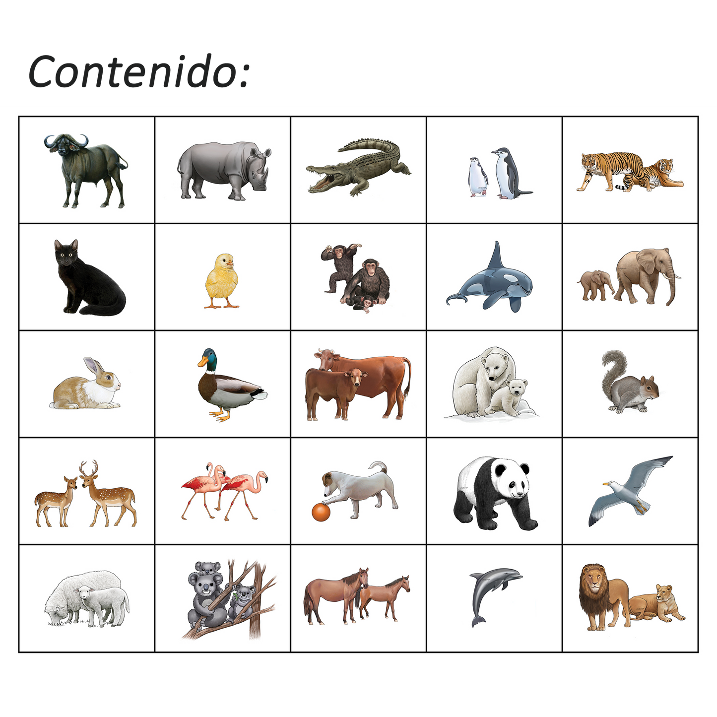 Haka Animales 2