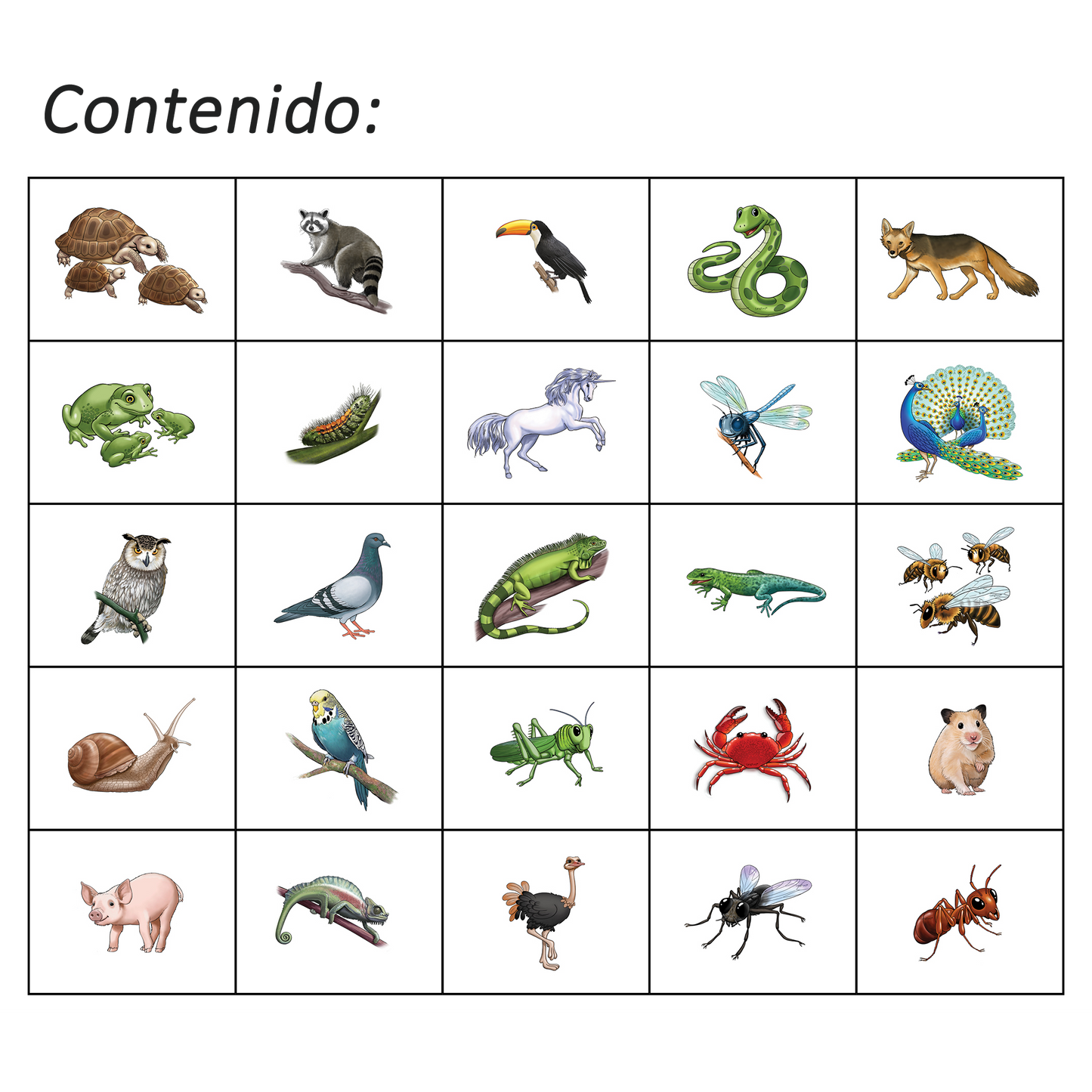 Haka Animales 3