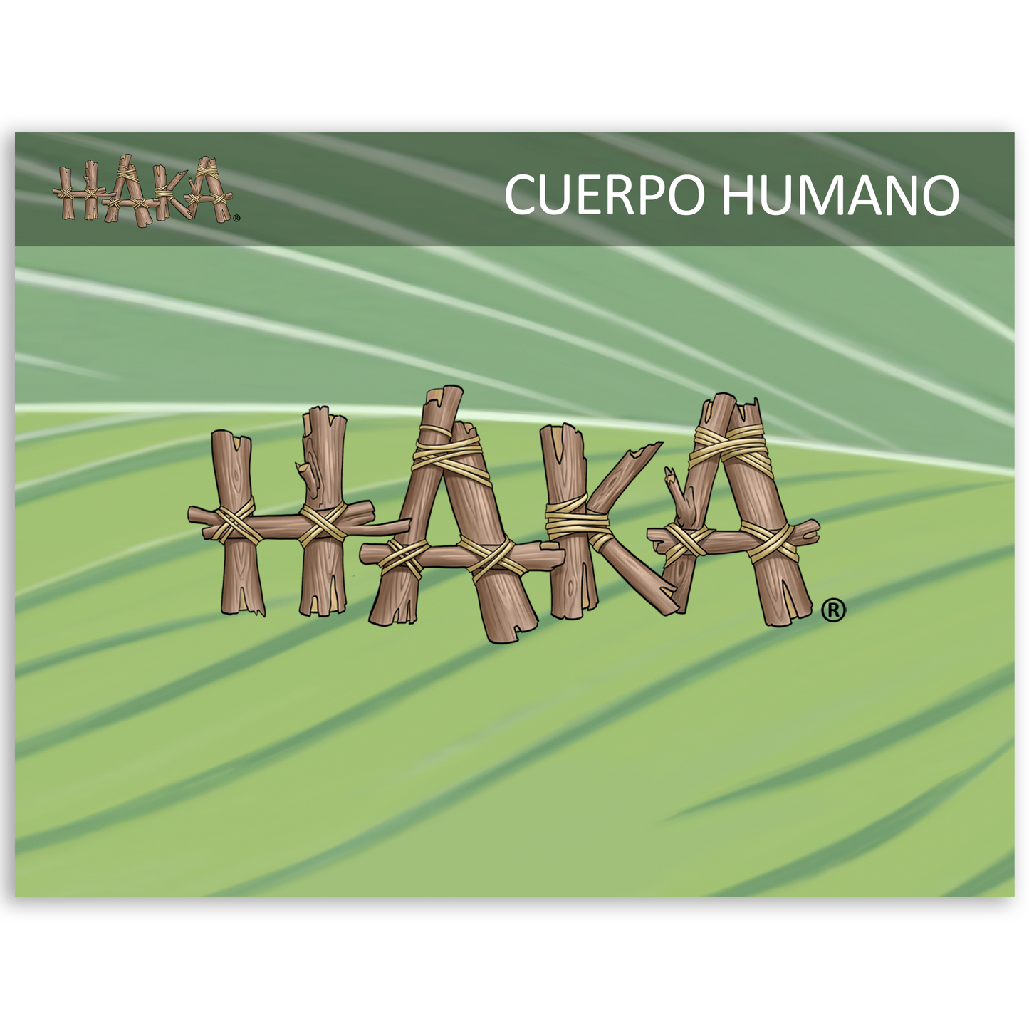 Haka Cuerpo Humano