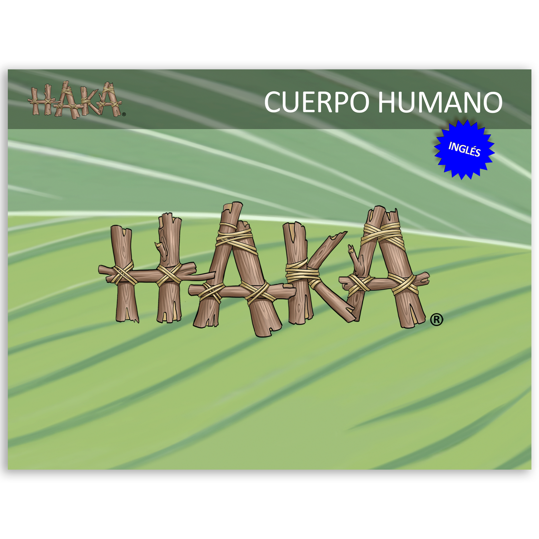 Haka Cuerpo Humano