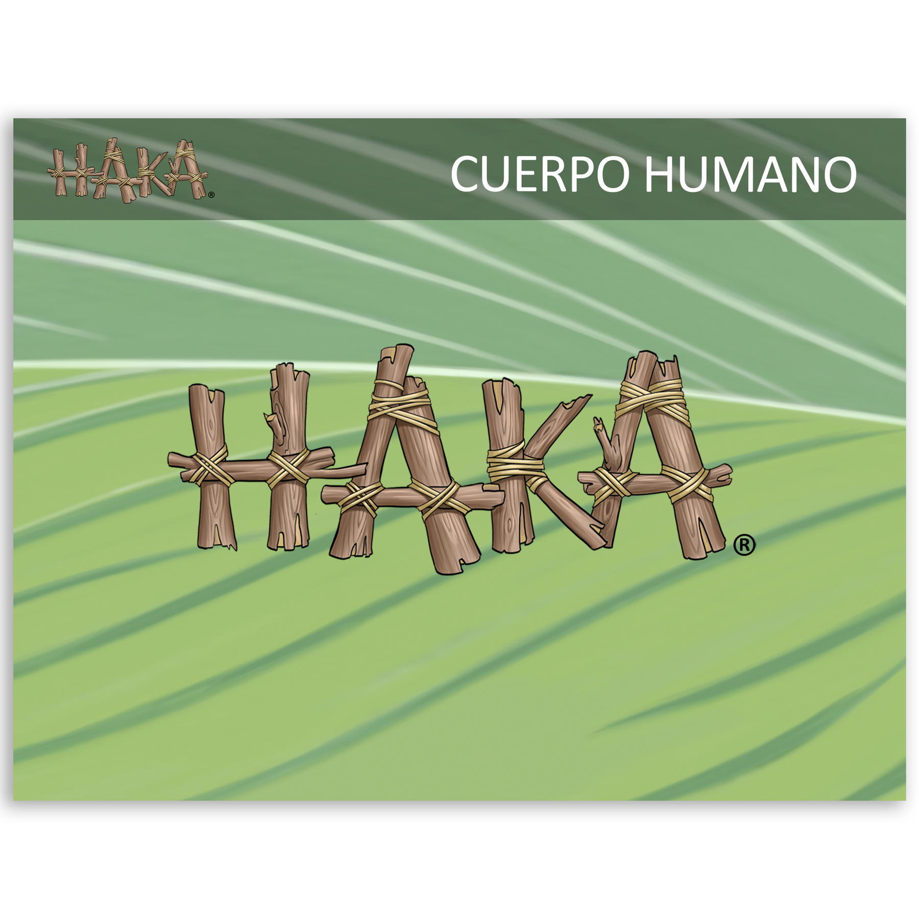 Haka Cuerpo Humano