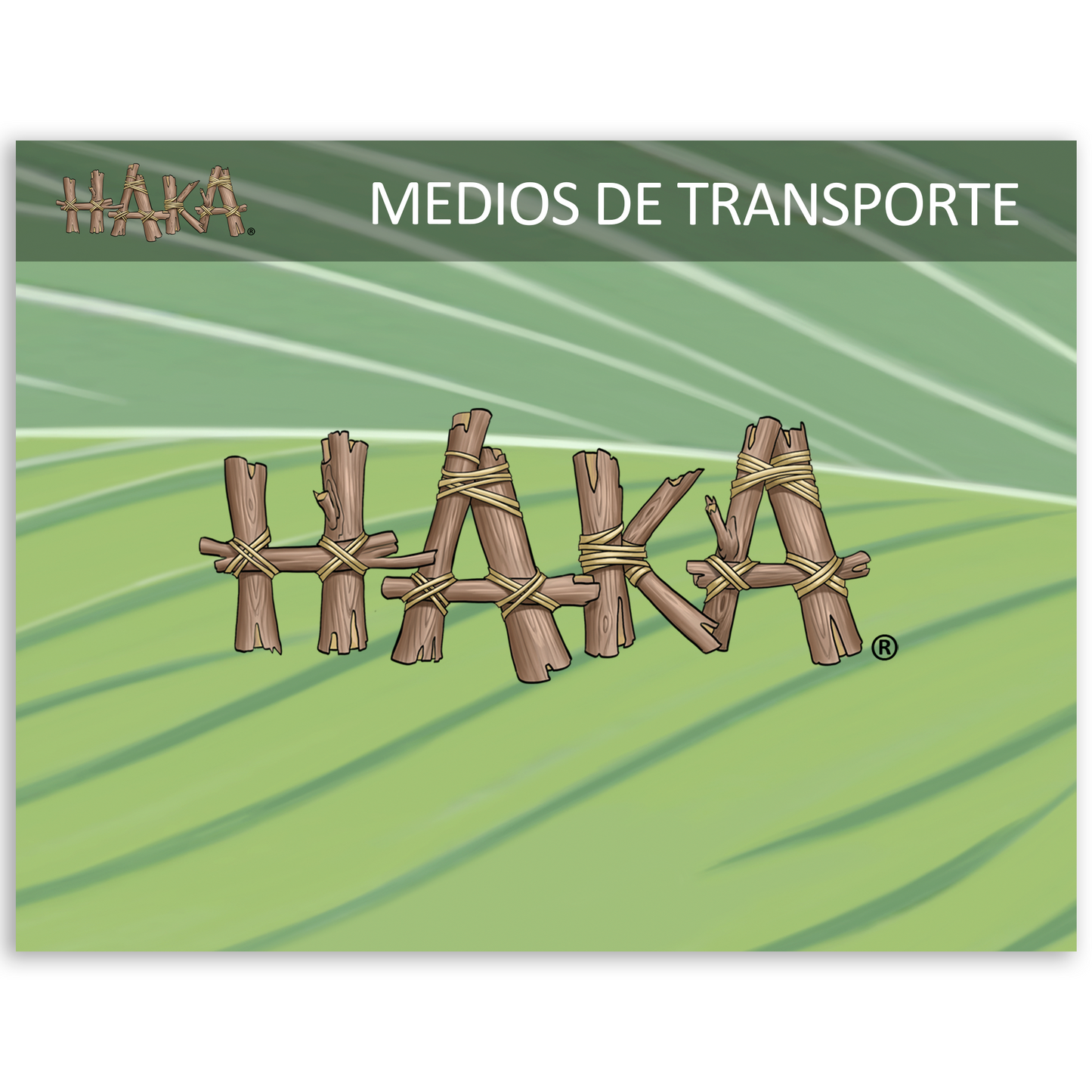 Haka Medios de Transporte