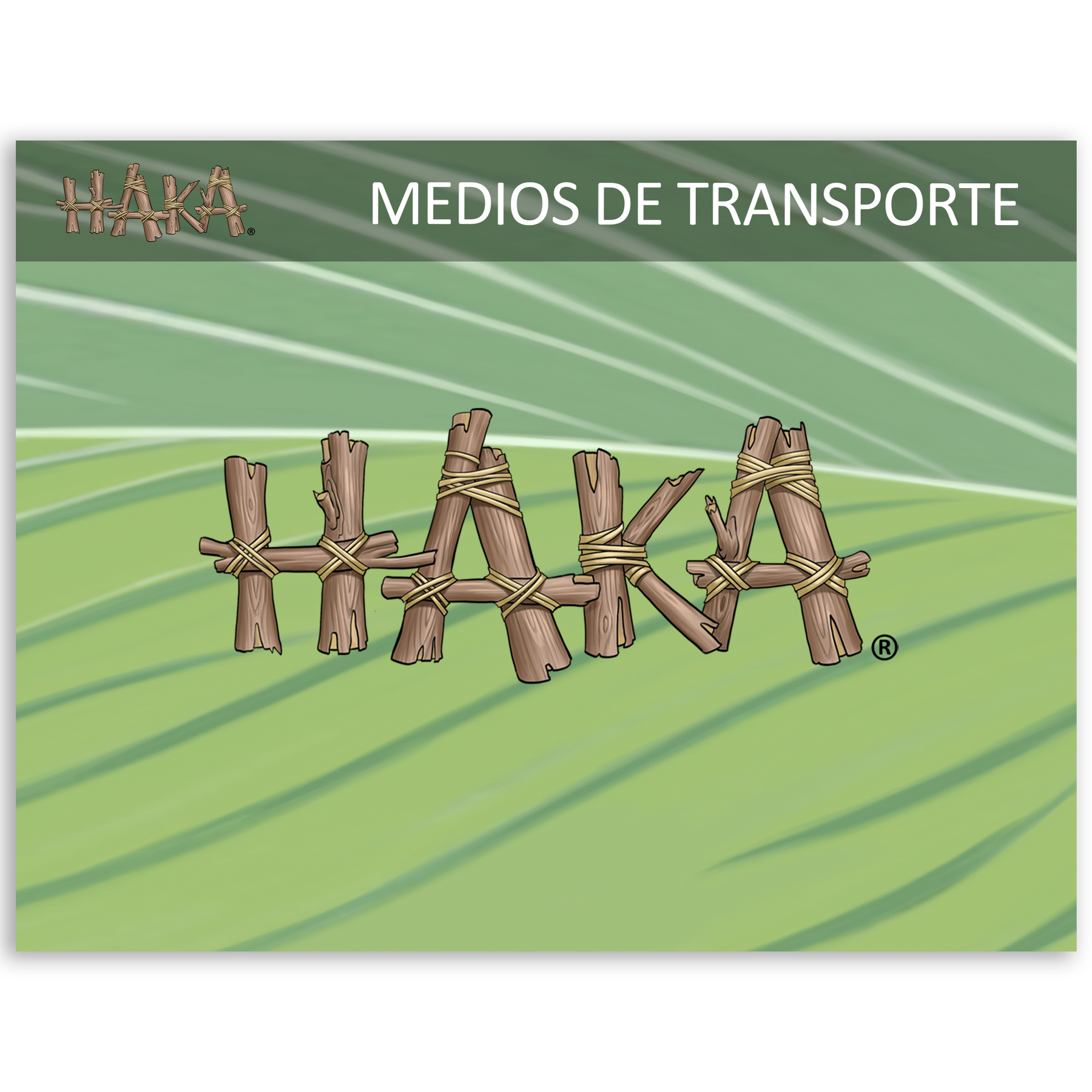 Haka Medios de Transporte