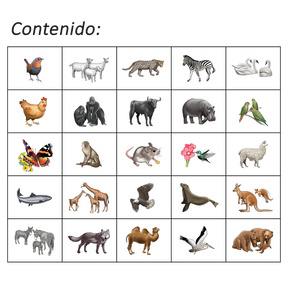 Boomerang Animales