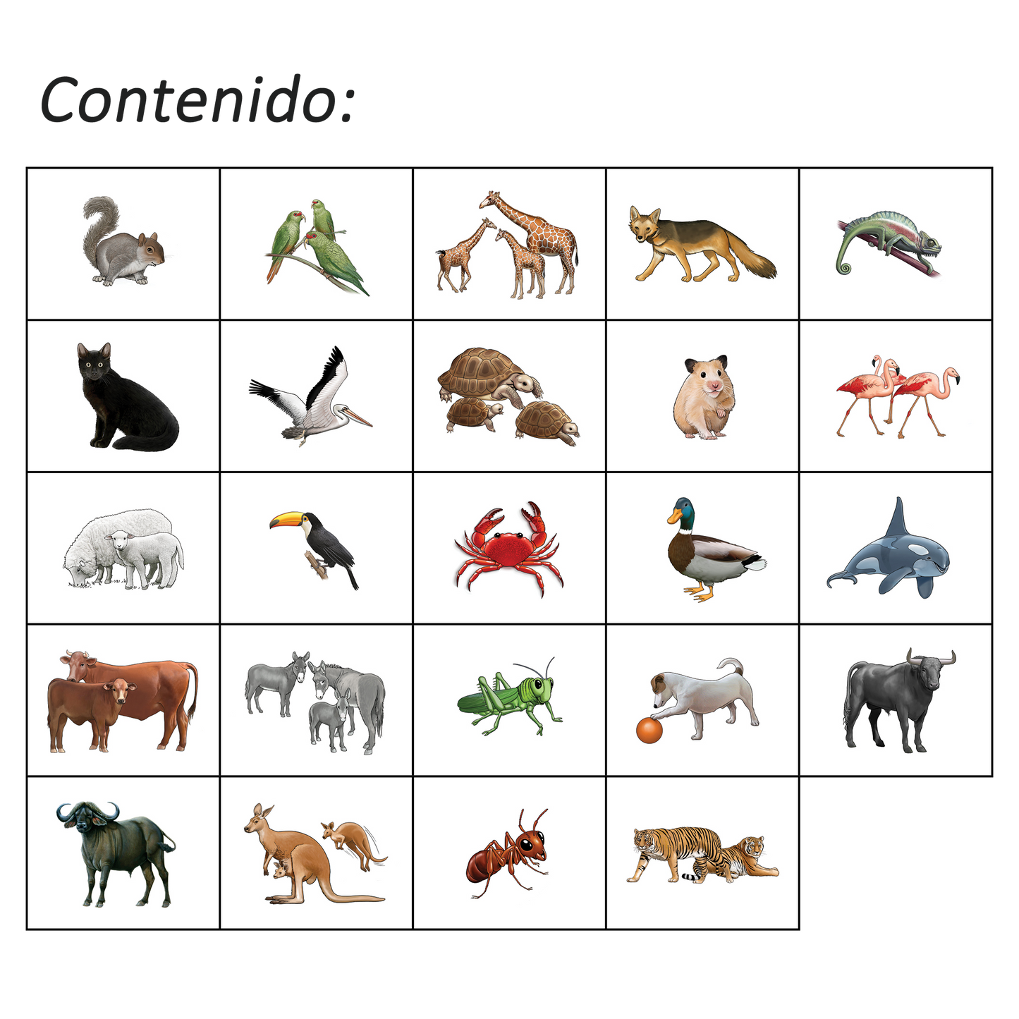 Shaka Animales 1