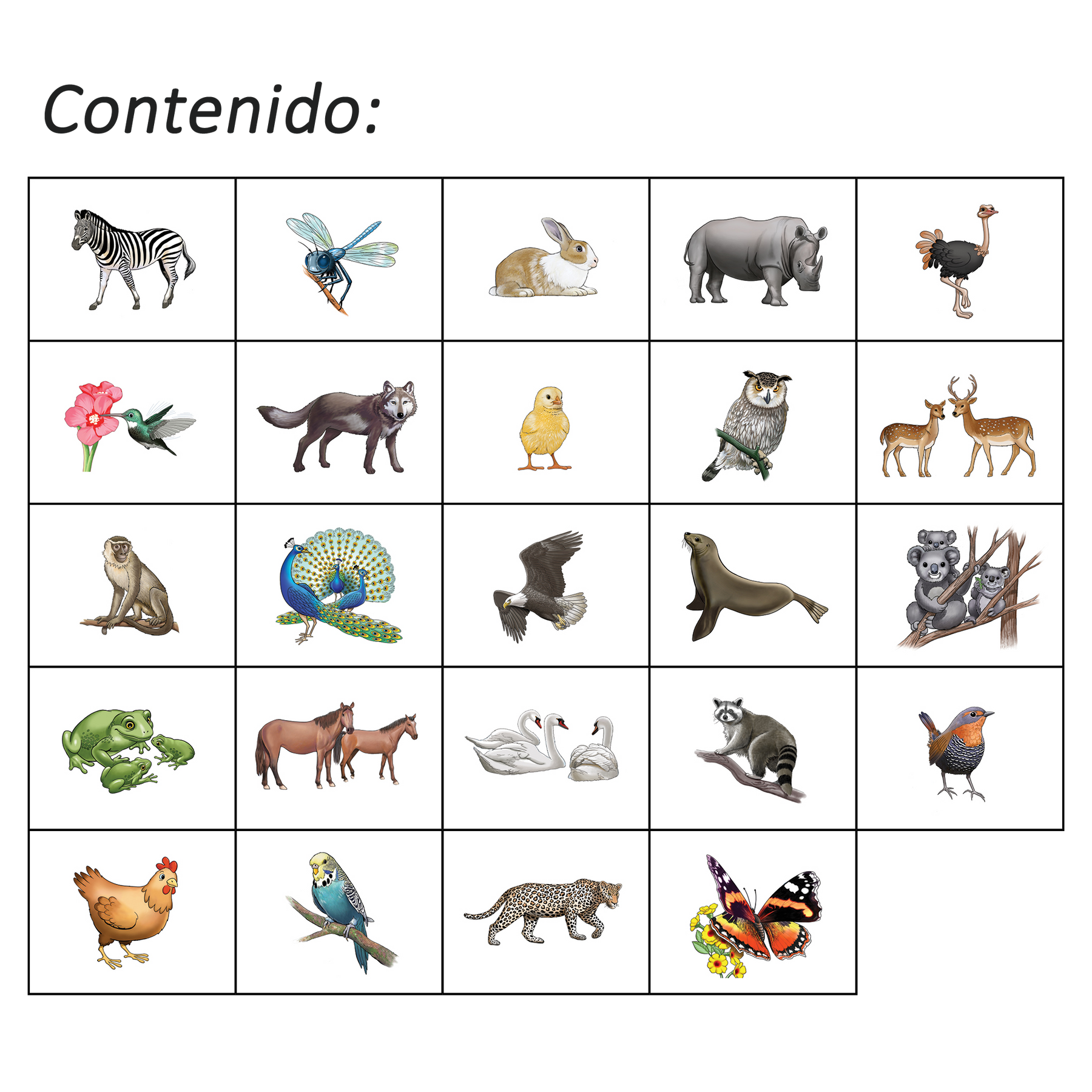 Shaka Animales 2